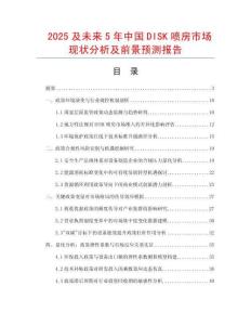 2025及未來5年中國DISK噴房市場現狀分析及前景預測報告