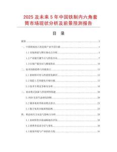 2025及未來5年中國鐵制內六角套筒市場現狀分析及前景預測報告