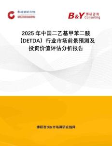 2025年中國(guó)二乙基甲苯二胺（DETDA）行業(yè)市場(chǎng)前景預(yù)測(cè)及投資價(jià)值評(píng)估分析報(bào)告