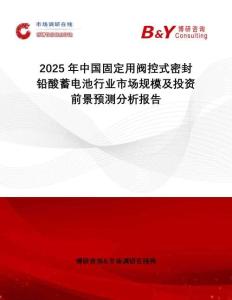 2025年中國固定用閥控式密封鉛酸蓄電池行業(yè)市場規(guī)模及投資前景預(yù)測分析報(bào)告