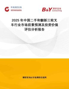 2025年中國二手和翻新三輪叉車行業(yè)市場前景預(yù)測及投資價(jià)值評估分析報(bào)告