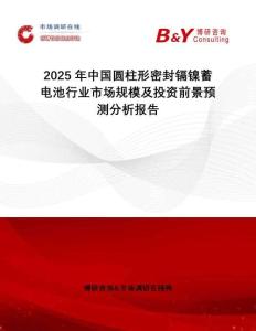 2025年中國(guó)圓柱形密封鎘鎳蓄電池行業(yè)市場(chǎng)規(guī)模及投資前景預(yù)測(cè)分析報(bào)告