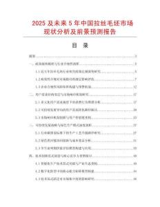 2025及未來5年中國拉絲毛坯市場現狀分析及前景預測報告