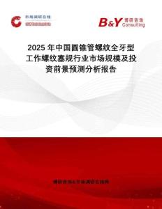 2025年中國圓錐管螺紋全牙型工作螺紋塞規(guī)行業(yè)市場規(guī)模及投資前景預測分析報告