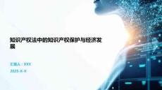 知識(shí)產(chǎn)權(quán)法中的知識(shí)產(chǎn)權(quán)保護(hù)與經(jīng)濟(jì)發(fā)展