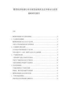 腰背肌訓(xùn)練器行業(yè)市場發(fā)展現(xiàn)狀及競爭格局與投資戰(zhàn)略研究報告