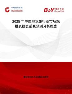 2025年中國坦克帶行業(yè)市場規(guī)模及投資前景預(yù)測分析報告
