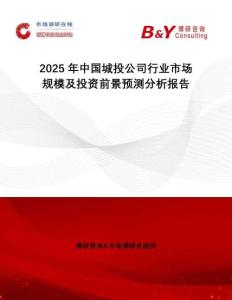 2025年中國(guó)城投公司行業(yè)市場(chǎng)規(guī)模及投資前景預(yù)測(cè)分析報(bào)告