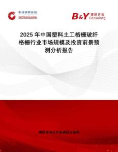 2025年中國塑料土工格柵玻纖格柵行業(yè)市場規(guī)模及投資前景預測分析報告