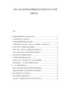 2025-2030新消費品牌崛起背后的資本運作與營銷策略研究