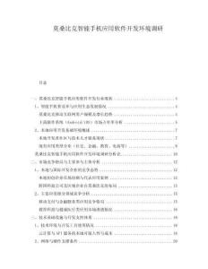 莫桑比克智能手机应用软件开发环境调研