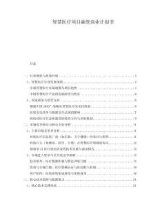智慧醫(yī)療項(xiàng)目融資商業(yè)計(jì)劃書