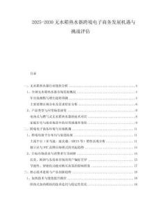 2025-2030無水箱熱水器跨境電子商務發展機遇與挑戰評估