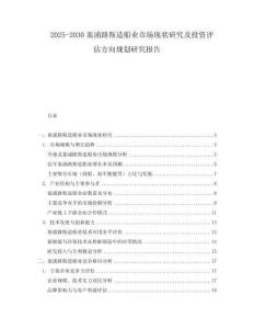 2025-2030塞浦路斯造船業市場現狀研究及投資評估方向規劃研究報告