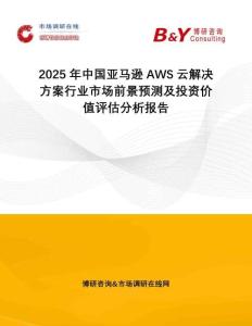 2025年中國亞馬遜AWS云解決方案行業(yè)市場(chǎng)前景預(yù)測(cè)及投資價(jià)值評(píng)估分析報(bào)告