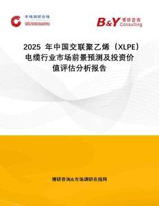 2025年中國交聯(lián)聚乙烯（XLPE）電纜行業(yè)市場(chǎng)前景預(yù)測(cè)及投資價(jià)值評(píng)估分析報(bào)告