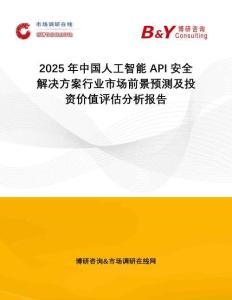 2025年中國人工智能API安全解決方案行業(yè)市場前景預(yù)測及投資價值評估分析報告