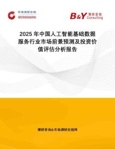 2025年中國人工智能基礎(chǔ)數(shù)據(jù)服務(wù)行業(yè)市場(chǎng)前景預(yù)測(cè)及投資價(jià)值評(píng)估分析報(bào)告