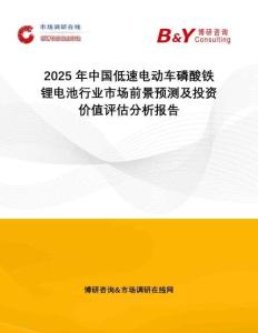 2025年中國低速電動車磷酸鐵鋰電池行業(yè)市場前景預(yù)測及投資價值評估分析報告