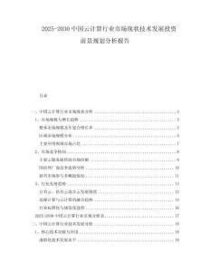 2025-2030中國云計算行業(yè)市場現(xiàn)狀技術(shù)發(fā)展投資前景規(guī)劃分析報告