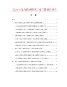 2025年無內胎鋼圈項目可行性研究報告