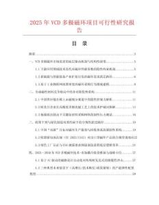 2025年VCD多極磁環項目可行性研究報告