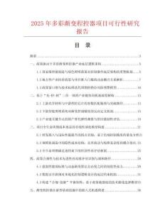 2025年多彩漸變程控器項目可行性研究報告