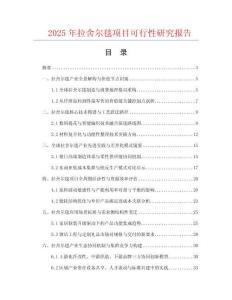 2025年拉舍爾毯項(xiàng)目可行性研究報(bào)告