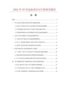 2025年PP打包扣項目可行性研究報告