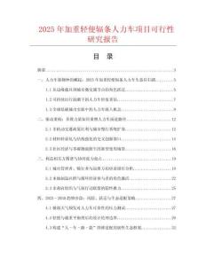 2025年加重輕便輻條人力車項(xiàng)目可行性研究報(bào)告