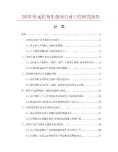 2025年無紡布頭墊項(xiàng)目可行性研究報(bào)告