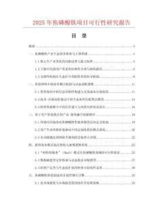 2025年焦磷酸鐵項(xiàng)目可行性研究報(bào)告