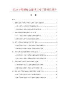 2025年酚醛標志漆項目可行性研究報告