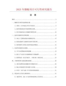 2025年腳板項(xiàng)目可行性研究報(bào)告