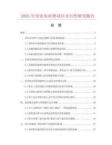 2025年導電布襯墊項目可行性研究報告