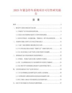 2025年緊急停車系統(tǒng)項目可行性研究報告