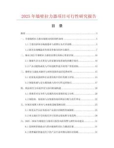 2025年墻壁拉力器項目可行性研究報告