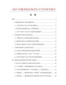 2025年魔術(shù)貼掛鉤項(xiàng)目可行性研究報(bào)告