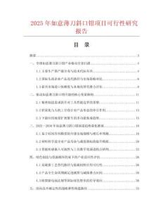 2025年如意薄刀斜口鉗項(xiàng)目可行性研究報(bào)告