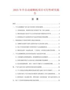 2025年半自动裱糊机项目可行性研究报告