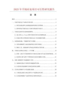 2025年羊絨襯衣項(xiàng)目可行性研究報(bào)告