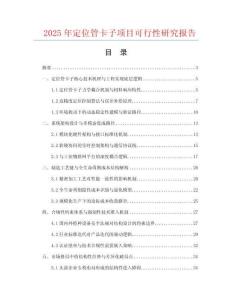 2025年定位管卡子項目可行性研究報告
