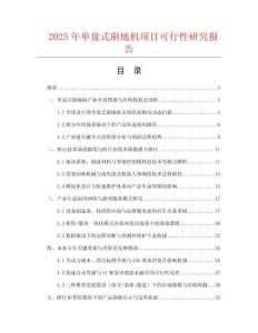 2025年單盤式刷地機(jī)項(xiàng)目可行性研究報(bào)告