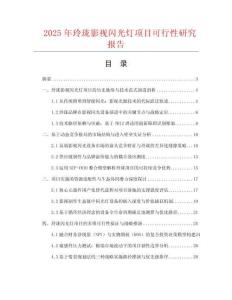 2025年玲瓏影視閃光燈項目可行性研究報告