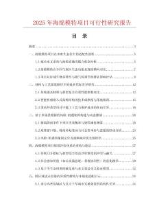2025年海綿模特項目可行性研究報告
