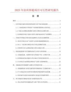 2025年拉絲焊槍項目可行性研究報告
