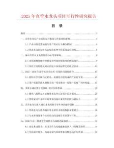 2025年直管水龍頭項目可行性研究報告