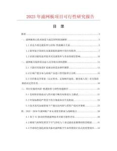 2025年濾網(wǎng)板項(xiàng)目可行性研究報(bào)告