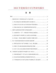 2025年瓷架項目可行性研究報告