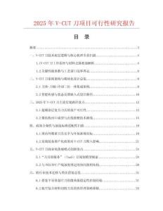 2025年V-CUT刀項目可行性研究報告